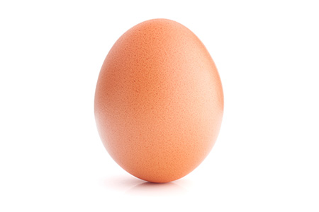 Photo of a brown egg