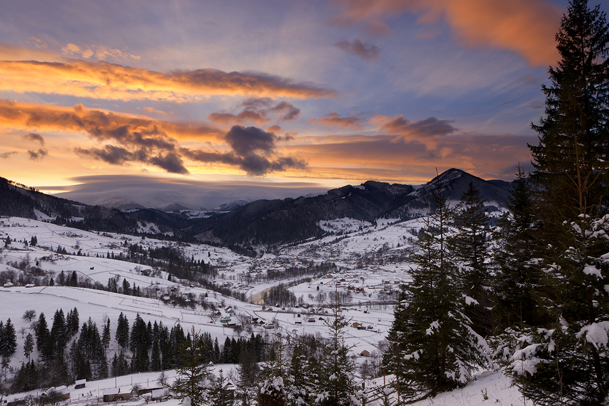 winter