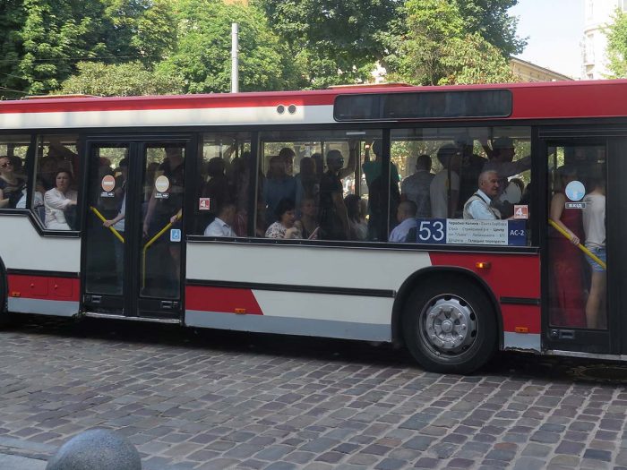 bus